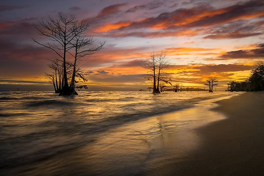 Spectacular sunrise over Lake Moultrie.