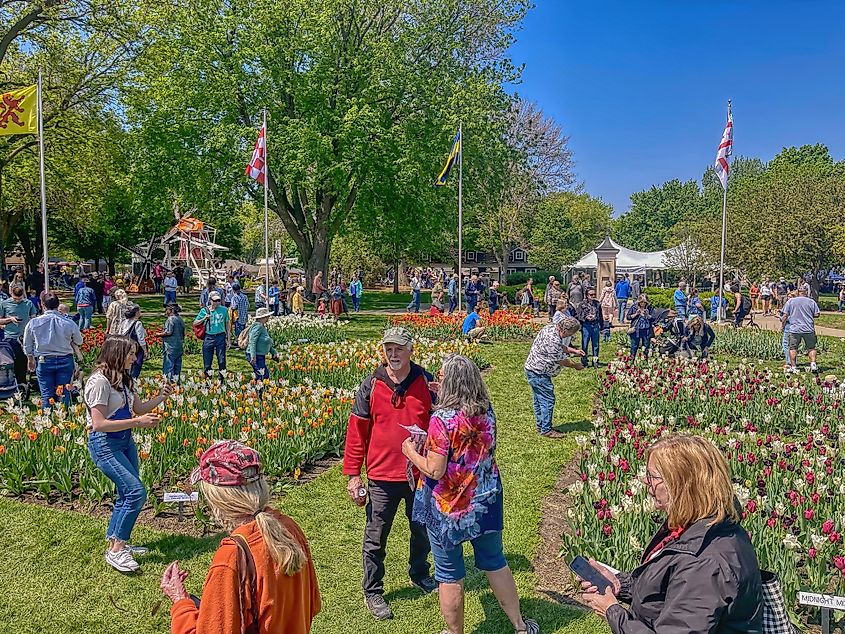 Annual Tulip Festival in Orange City, Iowa.
